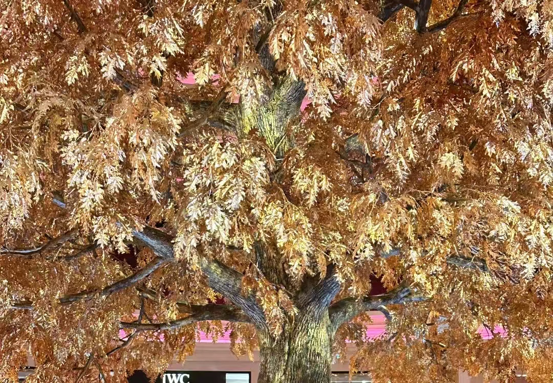 《捕风捉影》：成龙在 20 亿金树上打架，竟是成龙 “刷脸” 借来的