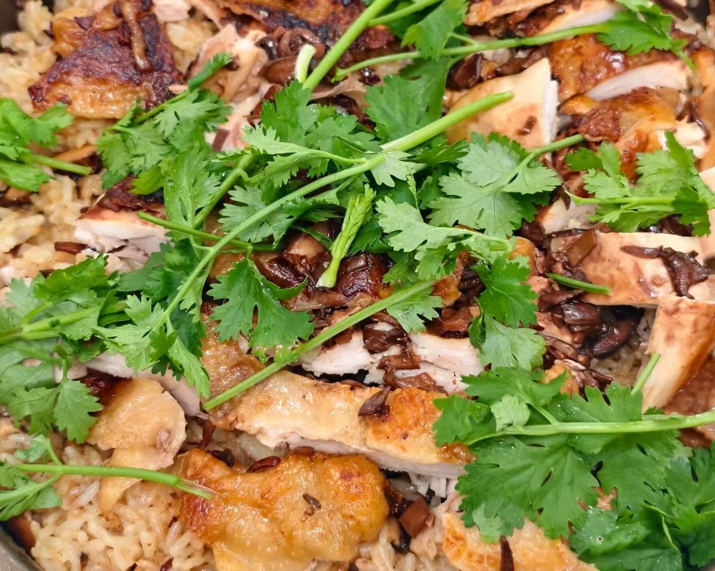 《一饭封神》评委太神！狮城黑马海南鸡饭，郑永麒一口尝出米饭水放多了