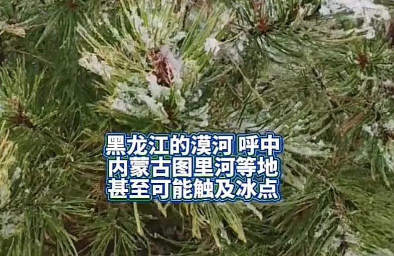 黑龙江下起今秋第一场雪！比往年晚了几天，景象却格外惊艳