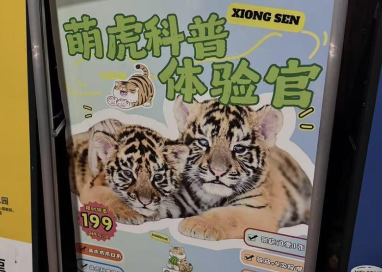 合肥网络谣言花样多！警方严打护清朗，这些骗局别上当