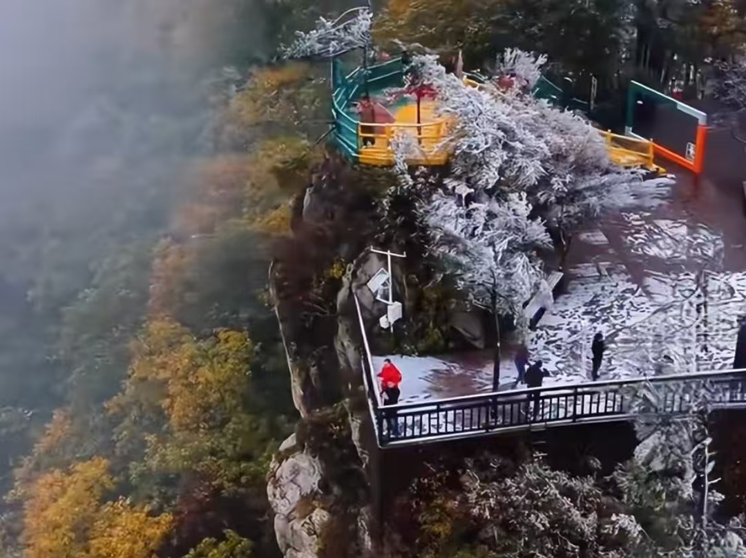 老界岭火出圈！南坡彩林北坡雪，课本里的南北分界就在眼前