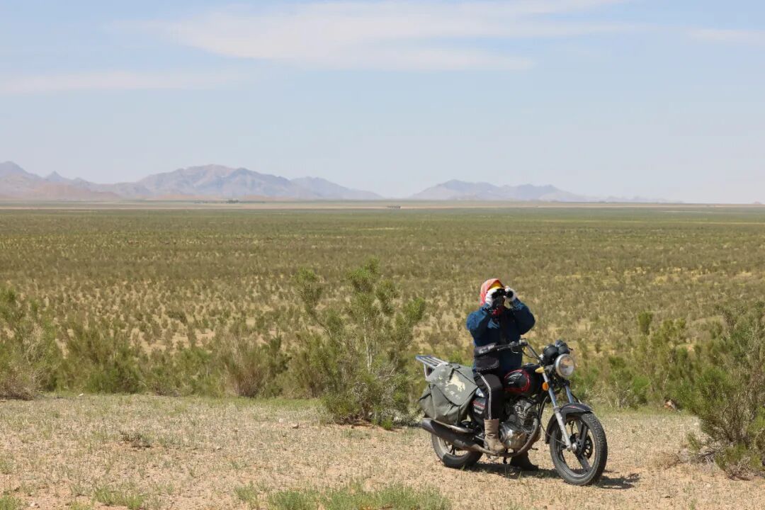 王伟伟：鏖战“三北”