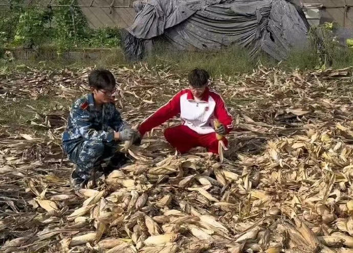 国庆旅游照刷屏时，大学生国庆 7 天半守着玉米地：质疑再多，不如爸妈少受点苦