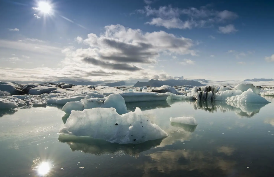 冰岛首度发现野外蚊子，全球 “无蚊净土” 就剩南极洲了
