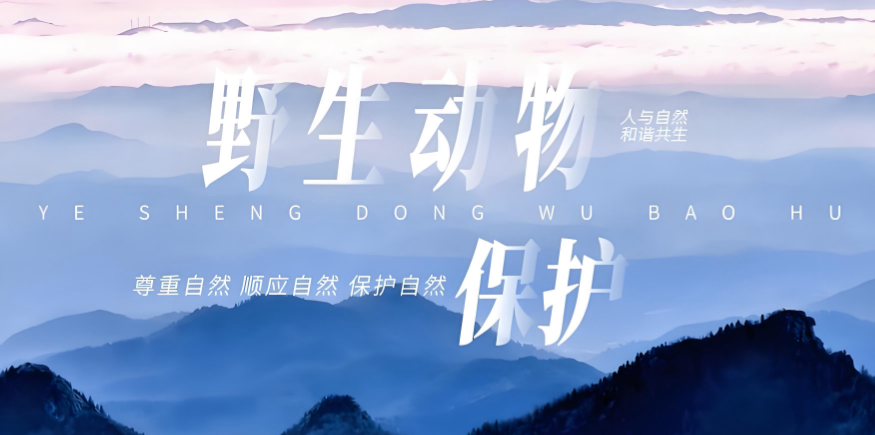 江西男子徒手抓百条蛇被判刑！别踩法律红线，保护野生动物真的很重要