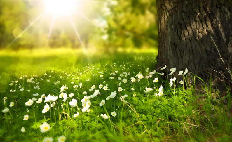 青丝染霜，墓碑诉情：34 岁母亲的生死牵挂!