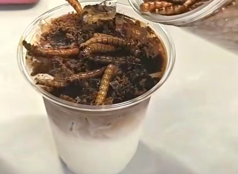 45 元一杯的 “蟑螂咖啡” 刷爆北京！喝过的人喊 “真香”，你敢挑战吗？