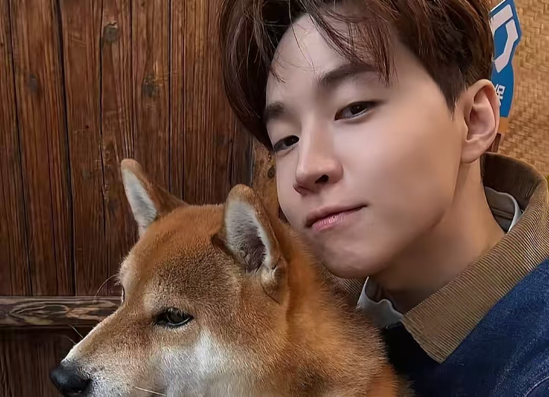 刘宪华归队蘑菇屋！抱小 H 红着眼，八年等一回的团圆谁看哭了？