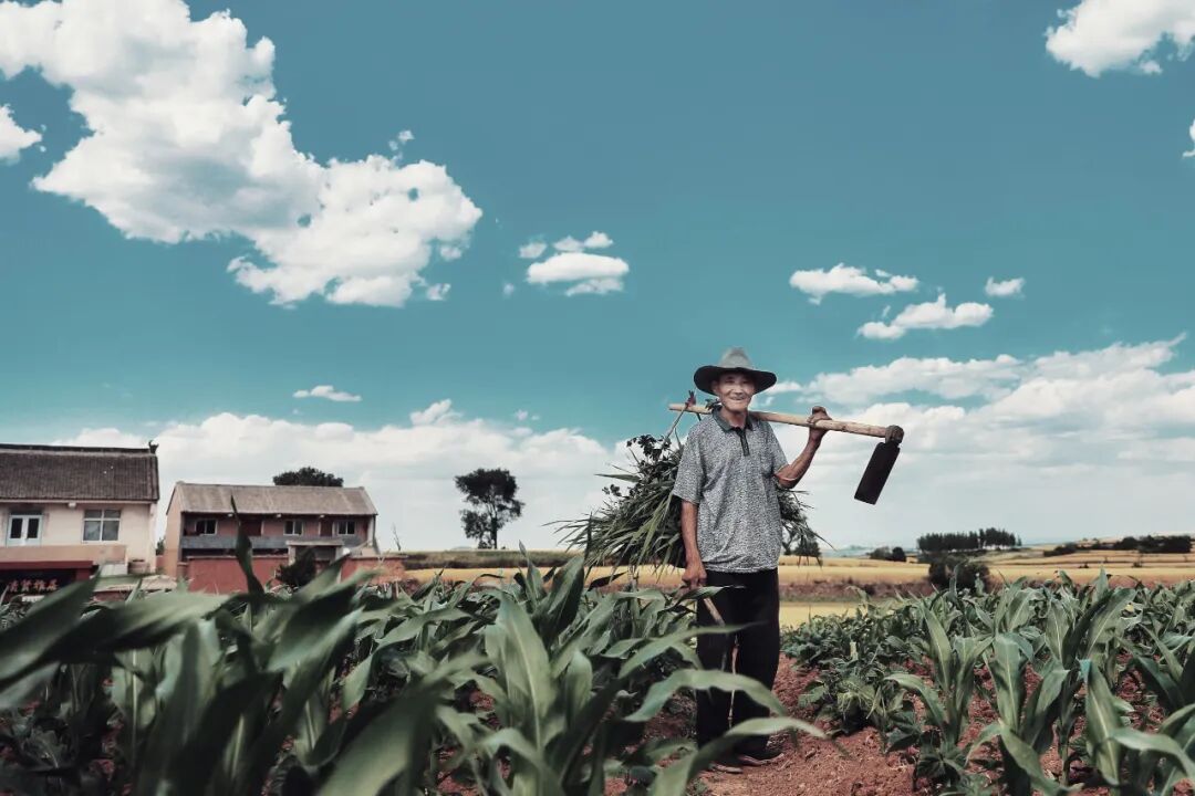 刘小强：故乡的原风景