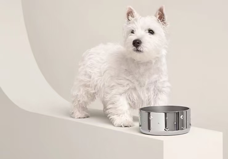 爱马仕出 2 万不锈钢狗碗！没到春季就断货，网友：毛孩子的 “智商税”？