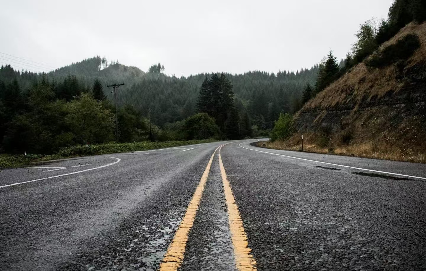 吉林一女子驾车撞翻黑熊致其死亡，司机平安无处罚，网友：痛心之余更要做好防护！