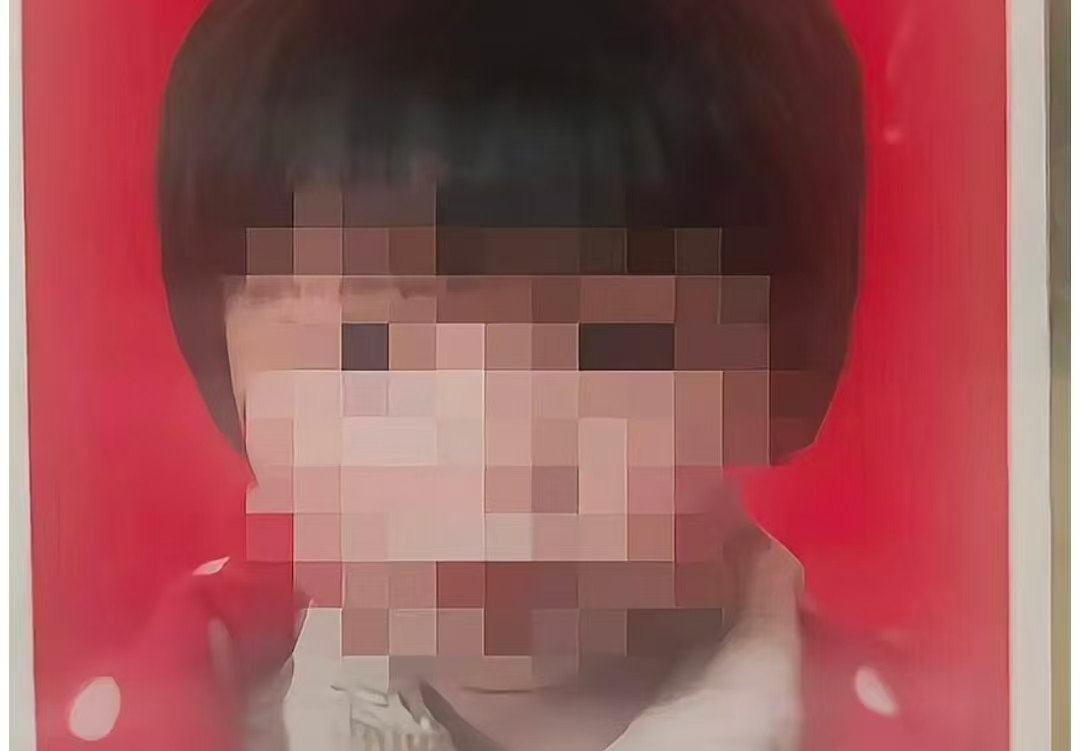 鲁山 8 岁女孩的最后 1 公里：追狗后失联，5 天后遗体现化粪池，没盖的坑太致命