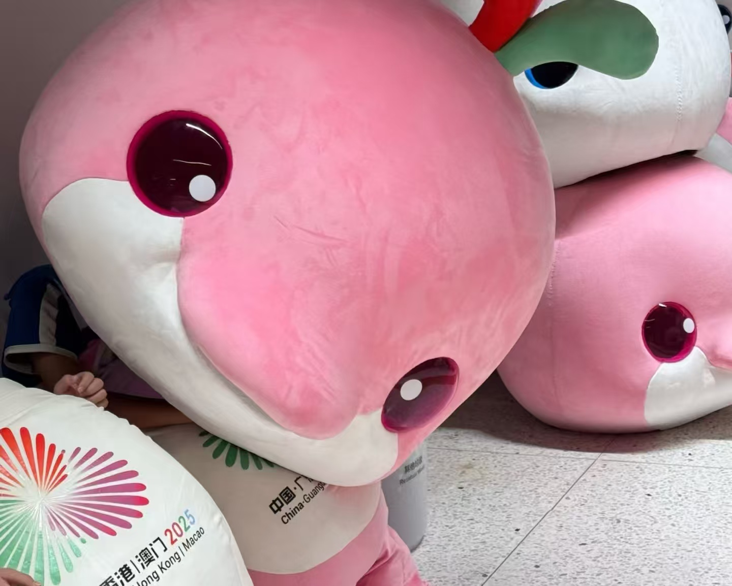 全运会 “大湾鸡” 爆火！40 个 “10 后” 武校生扮的，网友笑疯：史上最癫吉祥物