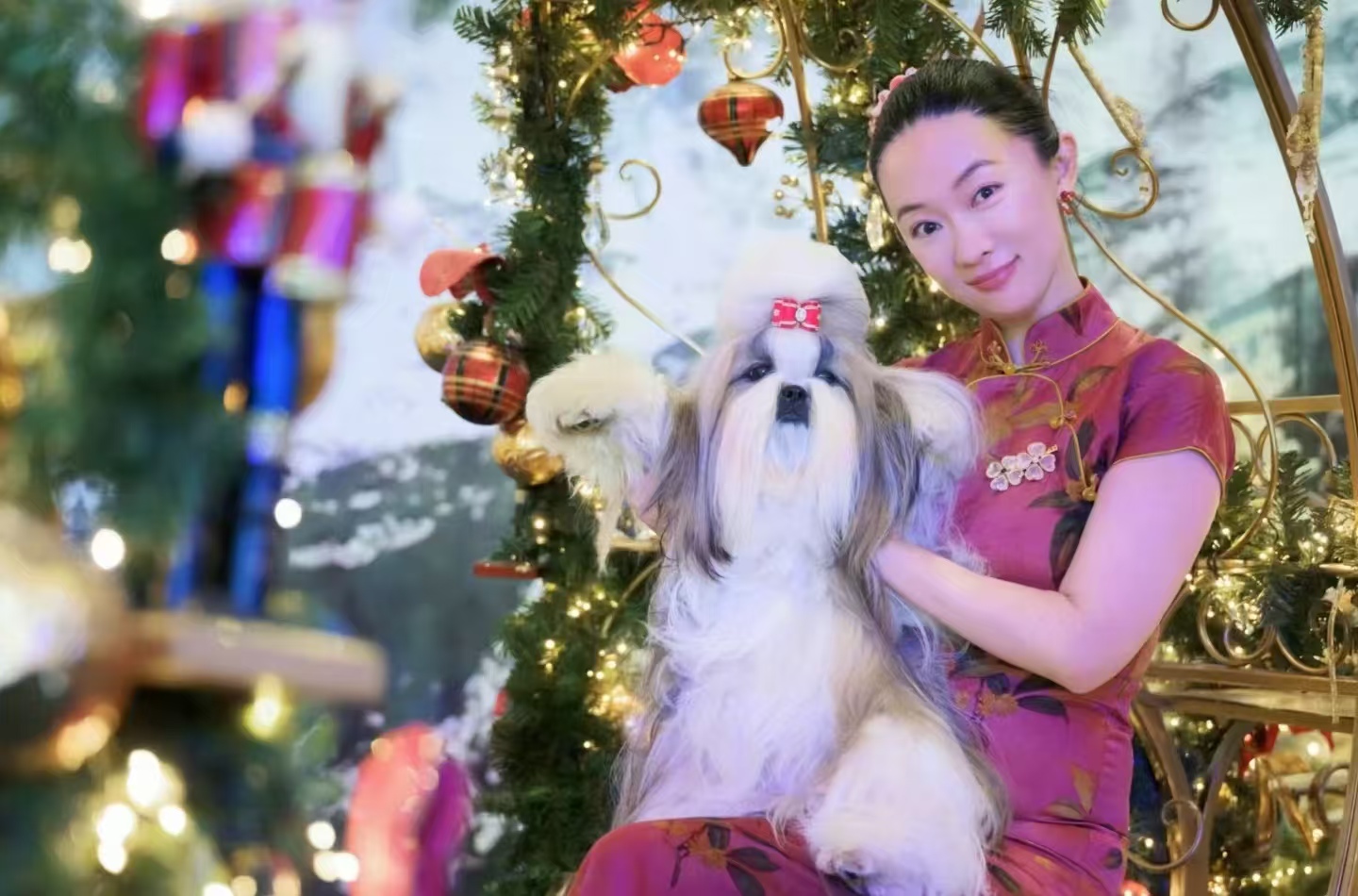 从实验犬到国际冠军！霍思燕用爱改写 “珍珠” 的命运，这波操作太暖心