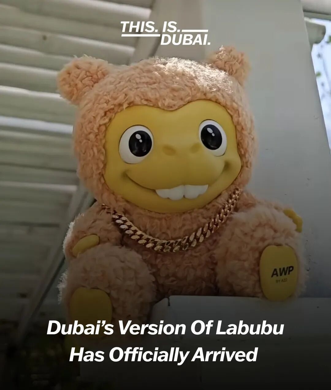 迪拜品牌推出首个毛绒玩具“达布布”：售价约420元，盲盒含18K金链