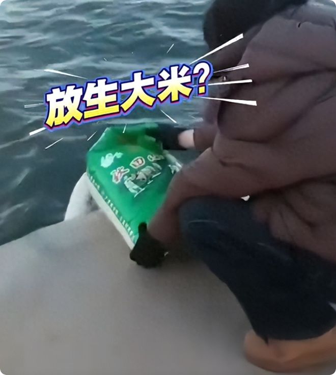 当“善意”沦为形式：辽宁“放生大米”事件背后的信仰迷失