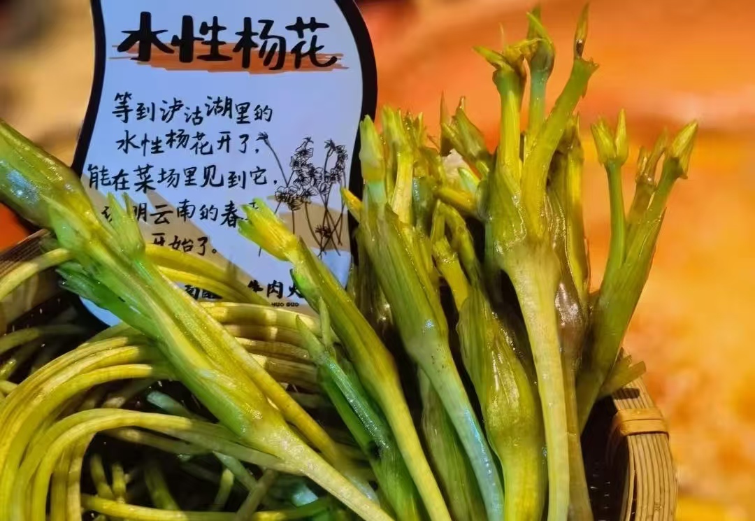 巴奴新菜名惹争议！紧急下架 “水性杨花”，网友吵翻：是冒犯还是地域差异？