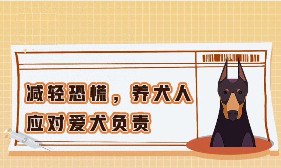 养狗新规来了！遛狗不牵绳、遗弃犬只情节较重可拘留，2026年1月1日起施行