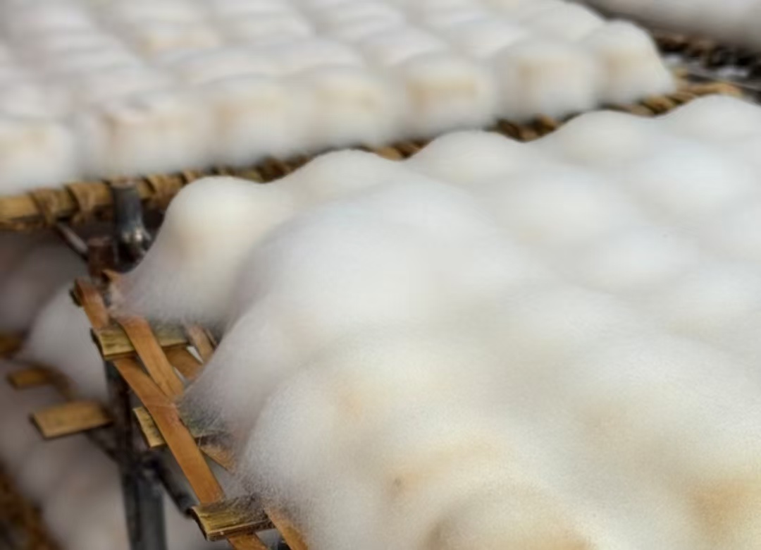 全网疯传的自制霉豆腐，到底安全吗？