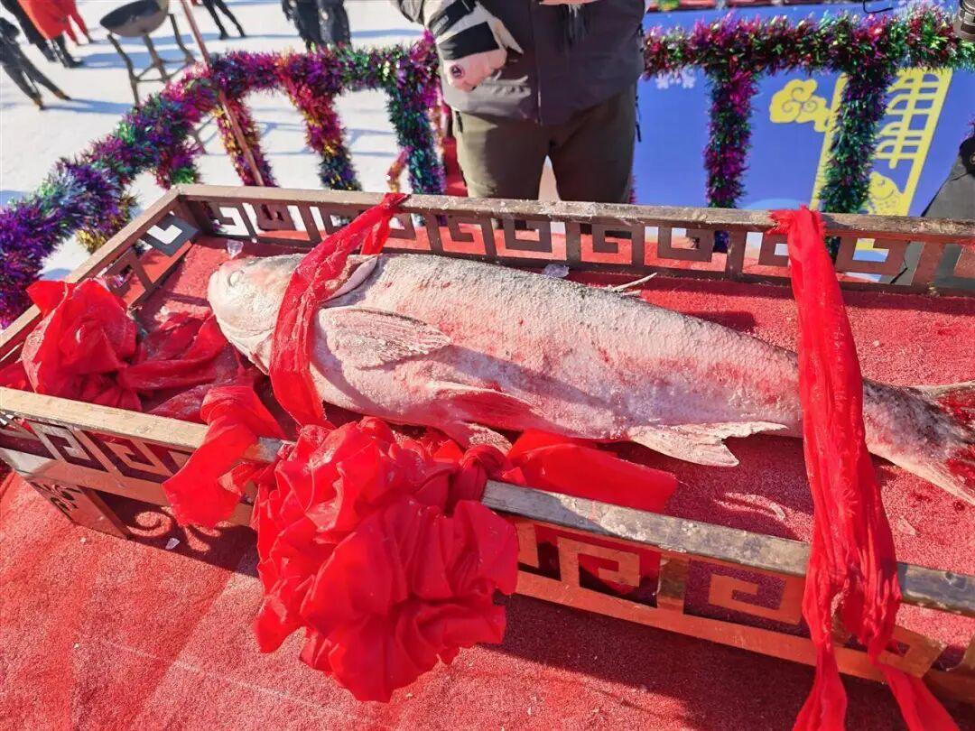 吉林查干湖冬捕，京东拍出1699999元高价，斩获“头鱼”！每斤超4.47万元