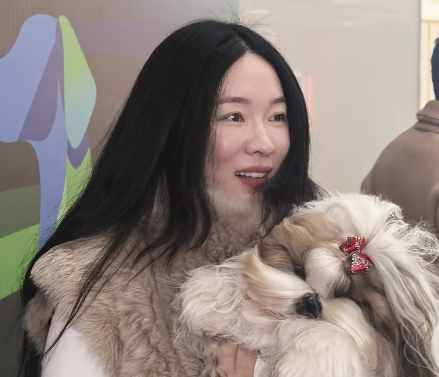 惊艳世界！霍思燕红袍牵西施犬摘国际犬展桂冠，为中国原生犬种发声