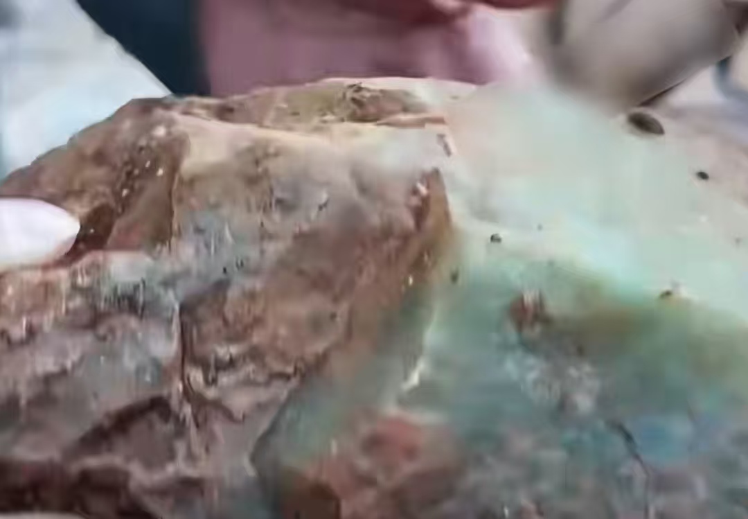 郑州免费挖玉爆火！人人拎袋“淘宝”，3000元高绿玉是真的？