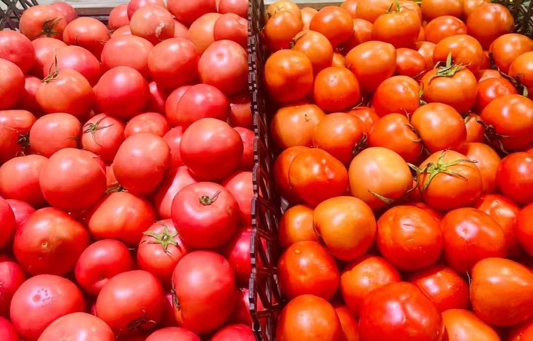 多地西红柿价格暴涨！市民直呼“吃不起”，何时能回归平价？