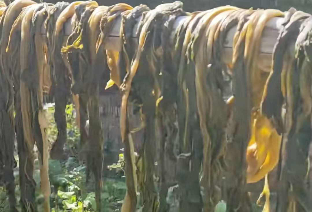 消费者信任彻底崩塌！葫芦岛厂赤脚作业，为何四年丑闻屡禁不止？