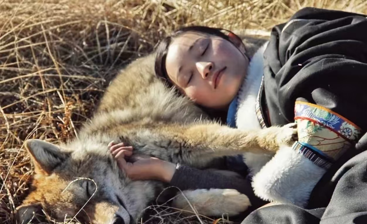 看哭无数人的格林，如今被网红围追堵截？李微漪发文恳请：放过草原