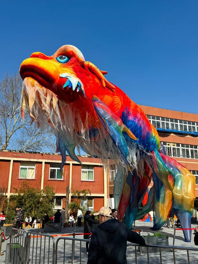 济南巨型鳌鱼被大风刮跑：工作人员追赶无果，悬赏10000元紧急寻回