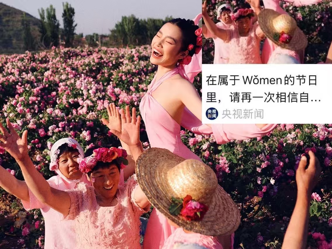 从广西小城女孩到央视封面!氧化菊凭什么逆袭?