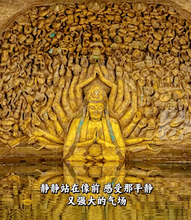重庆钓鱼佬偶遇罕见景象：水上千手观音半露真容