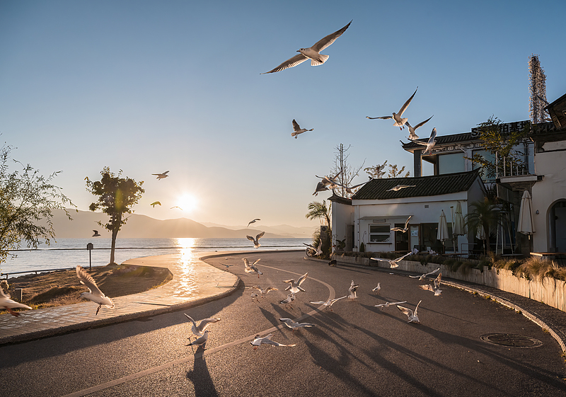 洱海边的慢生活切片