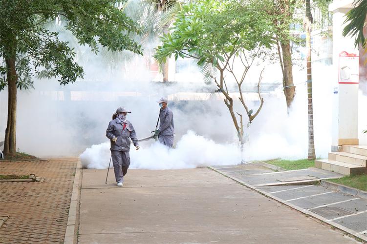 时代红利居然让蚊子吃上了，今年或将迎来史诗级加强