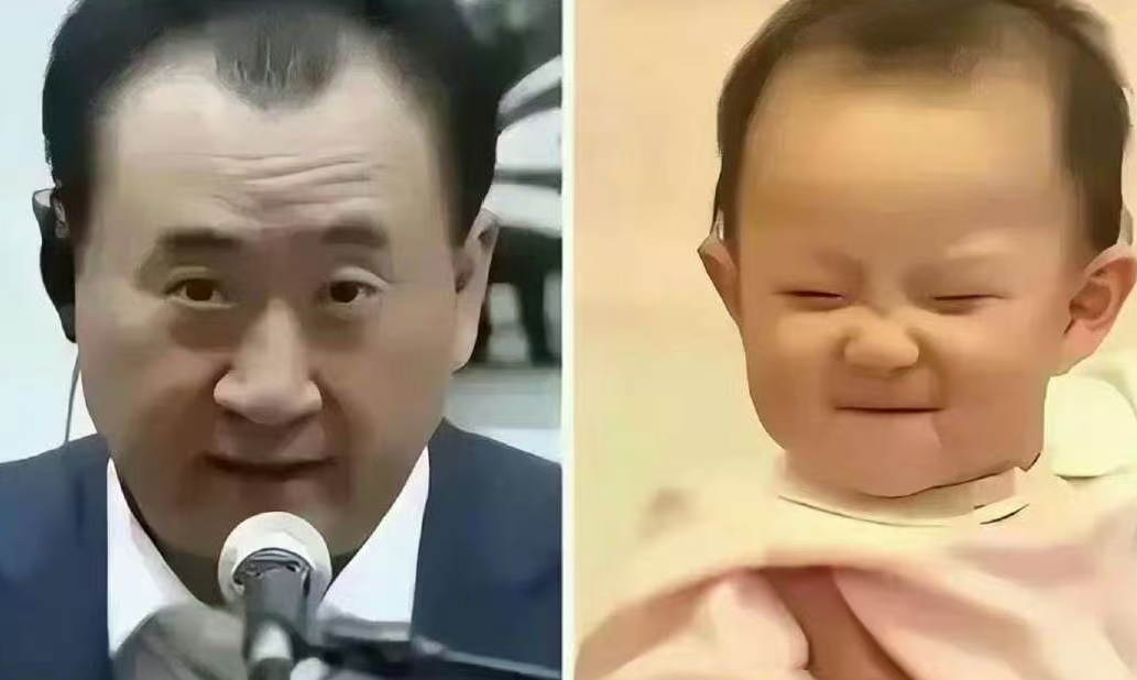 王健林 “幼崽版”？黄一鸣带 3 岁女儿直播 12 小时，蹭王家热度变现毫无底线