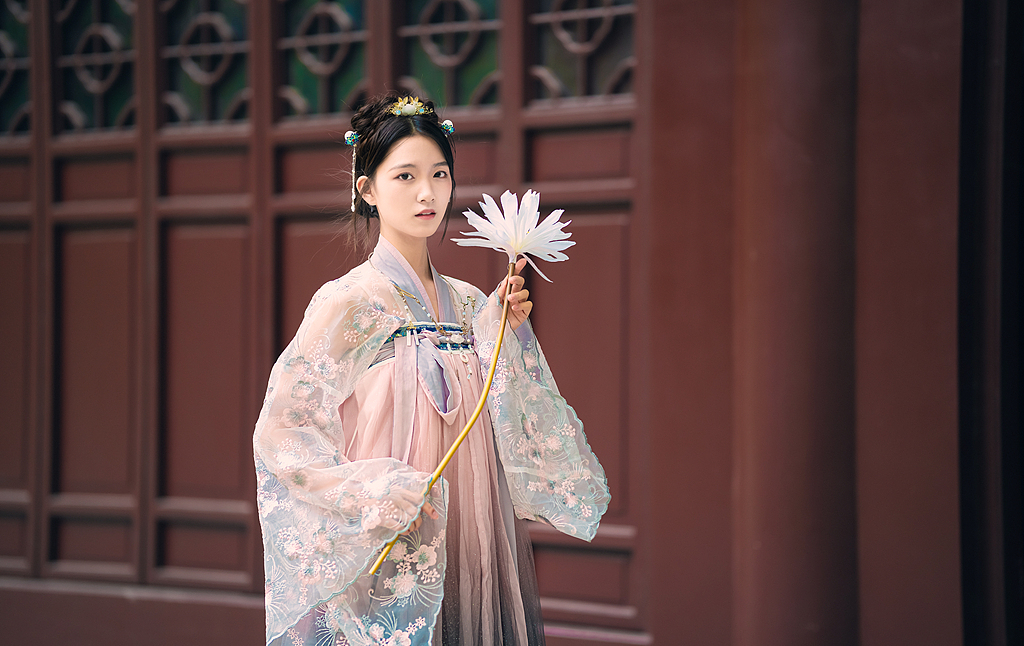一袖清风，半盏莲灯，赴一场人间惊鸿