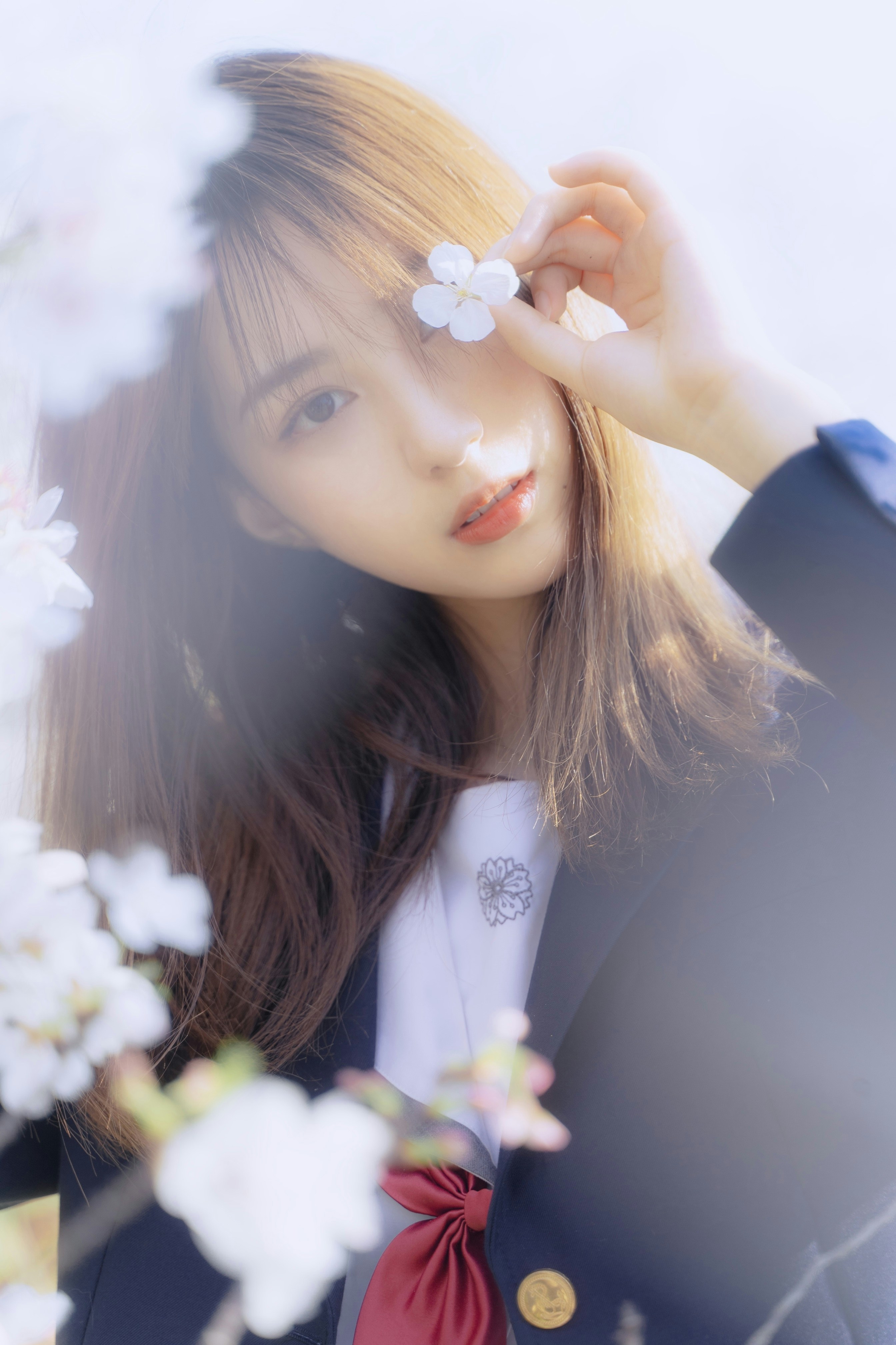 樱花 JK 写真｜春日限定，是自带柔光滤镜的青春感✨
