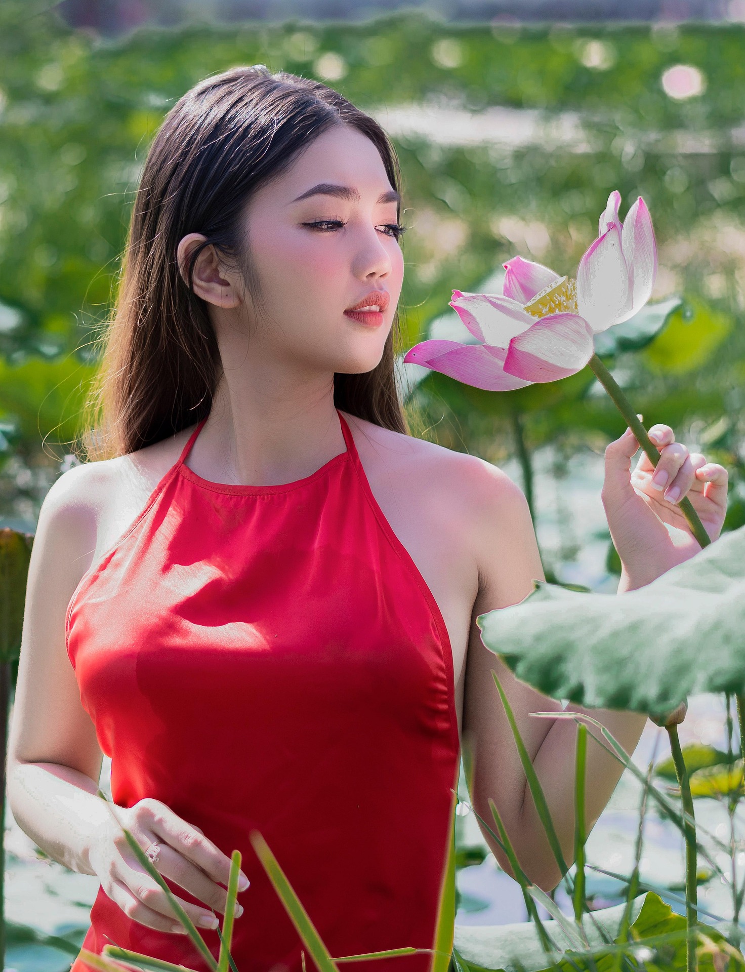 🌺 红调国风｜荷塘采莲少女｜自带东方滤镜的故事感