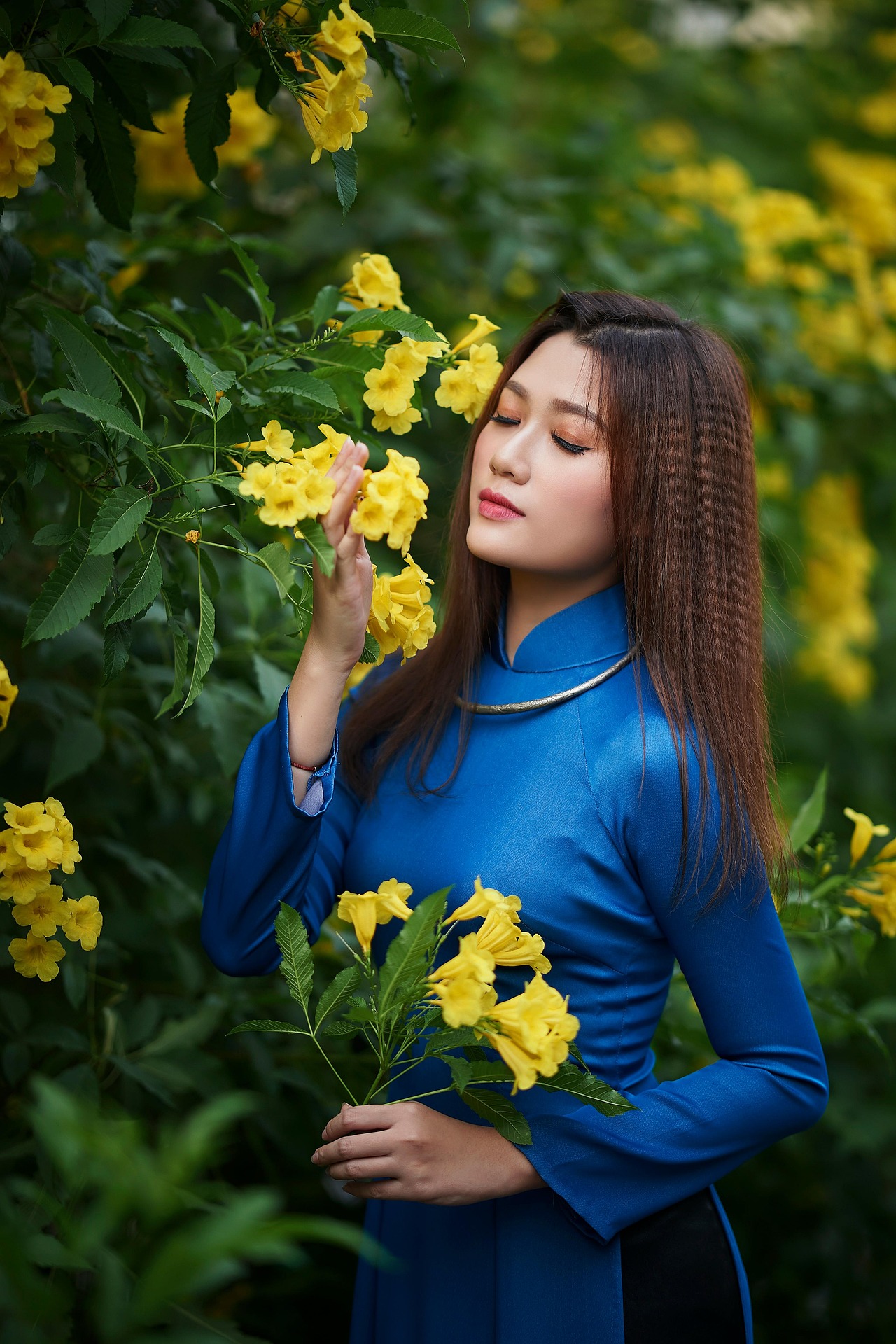 💙 靛蓝越南奥黛｜黄花漫道的浪漫｜一帧帧都是旧时光电影感