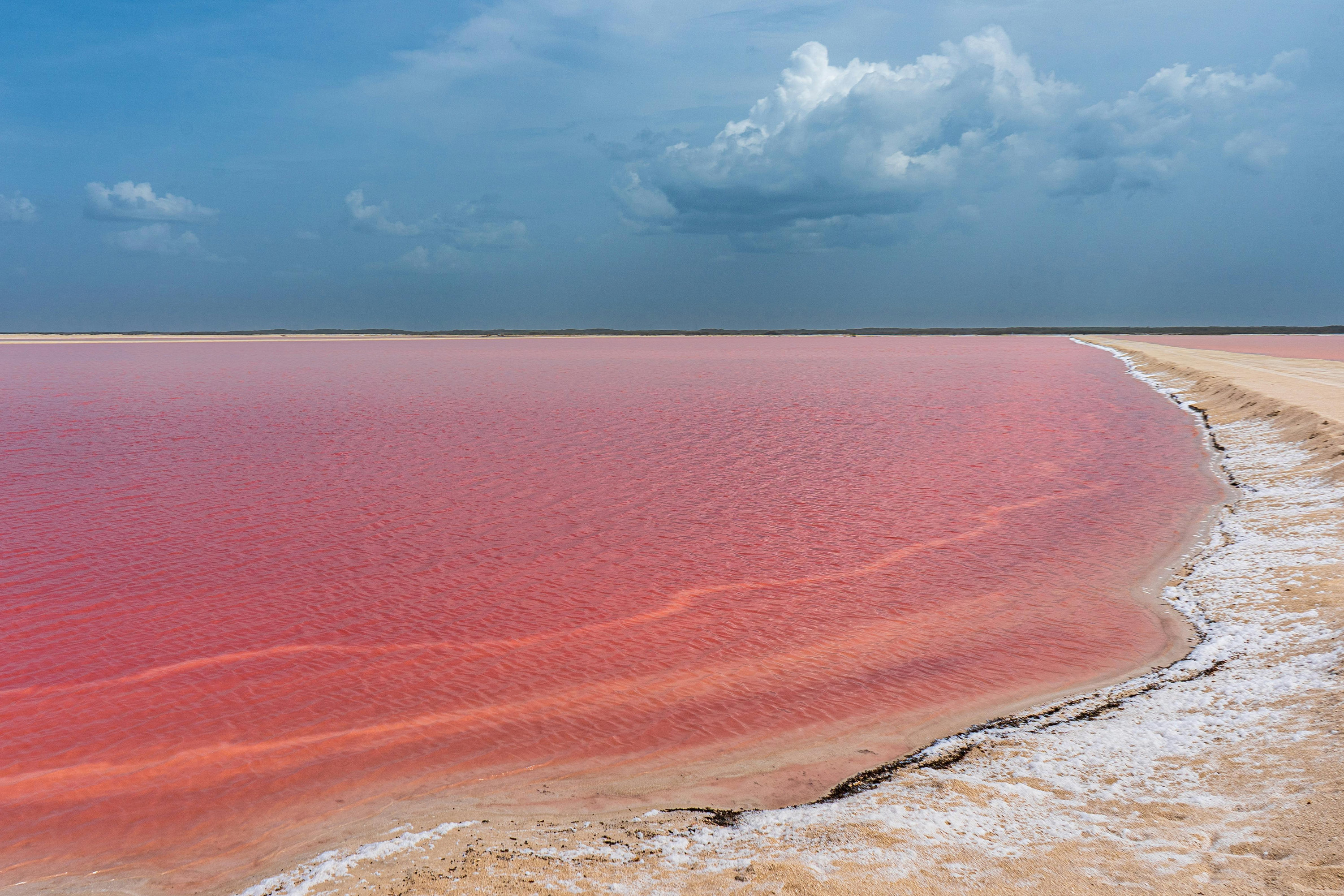 粉色盐湖｜天然玫瑰色湖面，大地馈赠的浪漫秘境