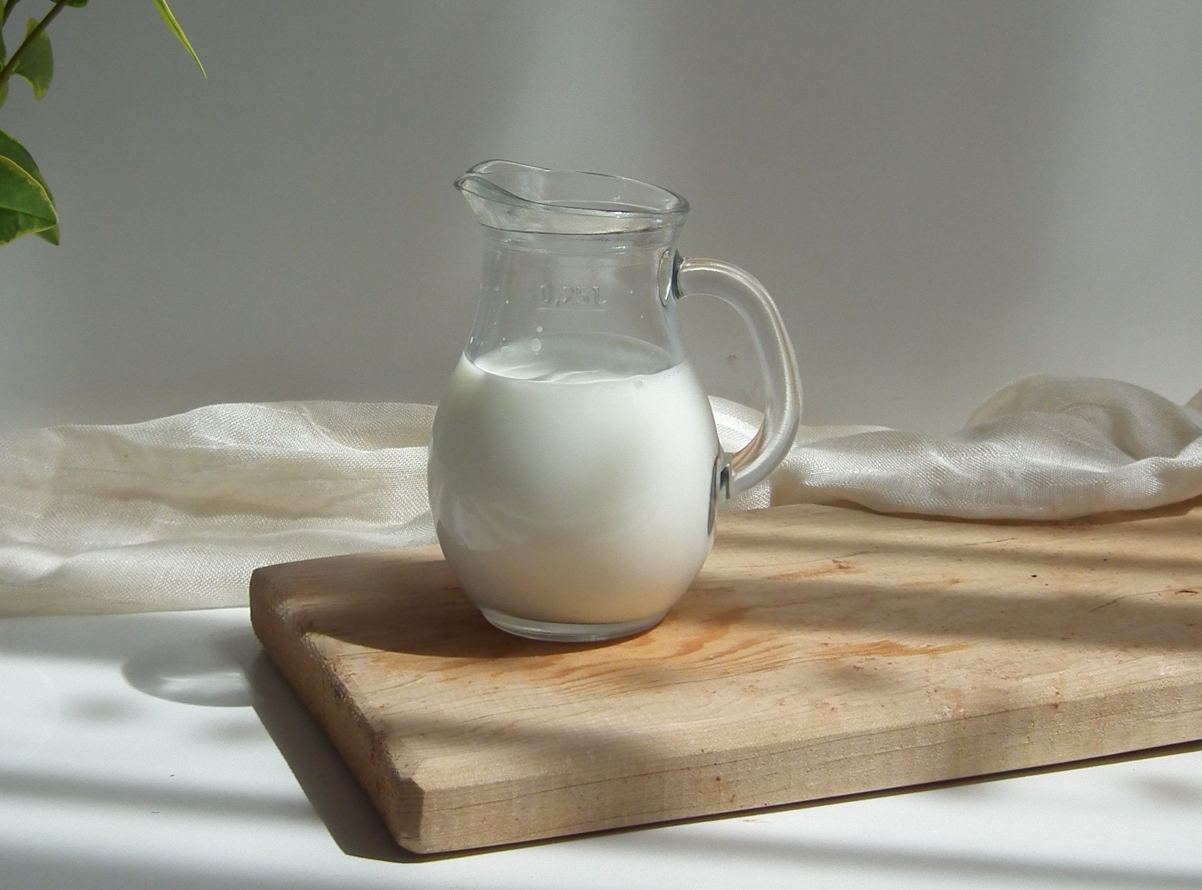 空腹真的不能喝牛奶？ 5 个牛奶误区一次性讲清 全家喝奶不踩雷