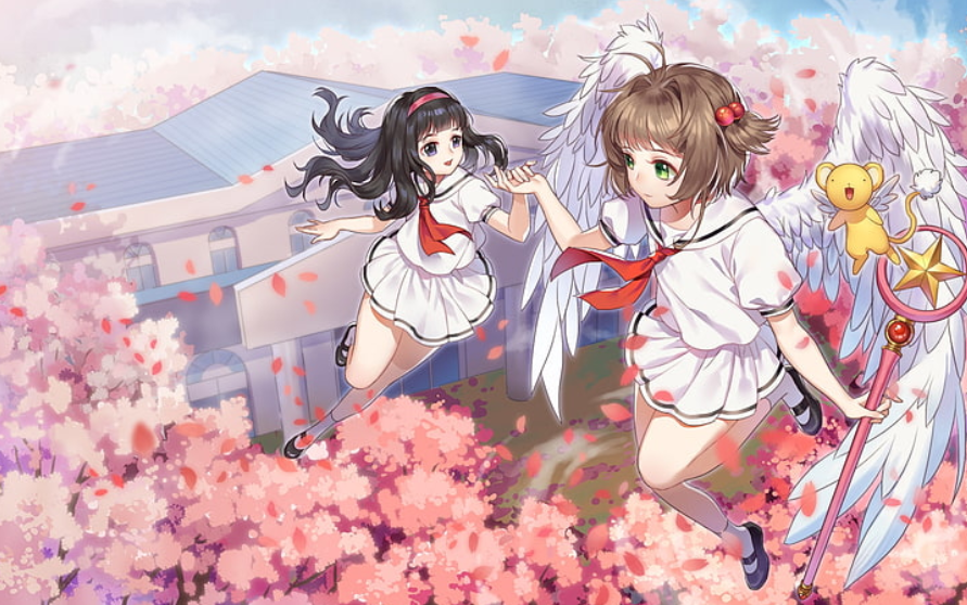 知世从不嫉妒，她的爱意从来都是成全