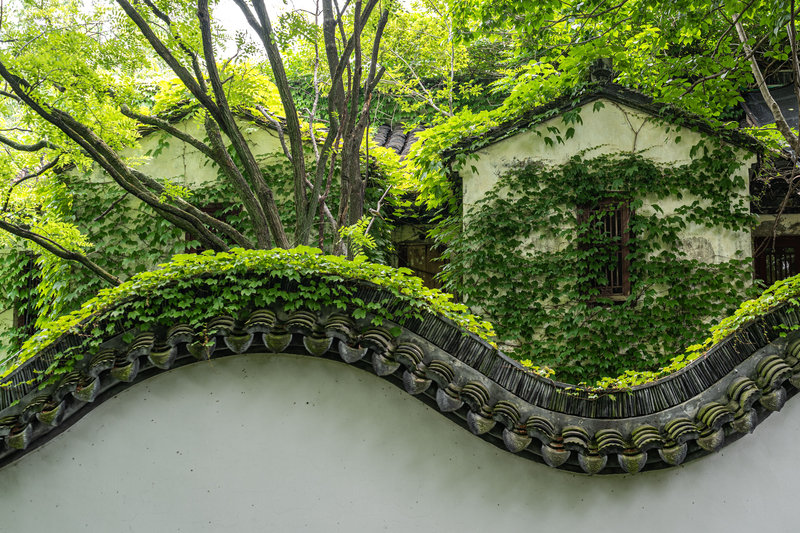 白墙黛瓦藏池沼，江南古典园林静谧风光