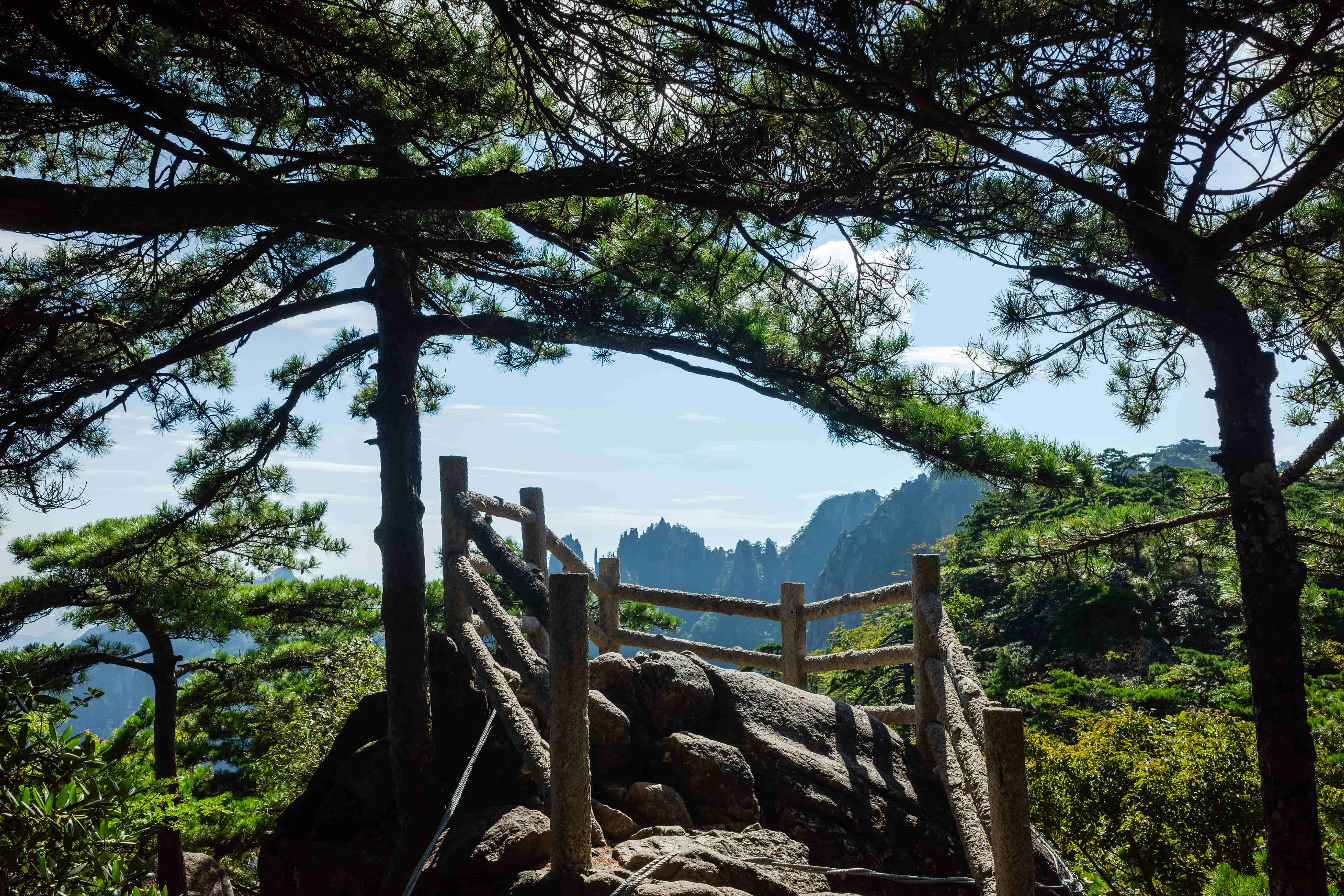 千万别乱报黄山旅行团！3 个套路提前看清