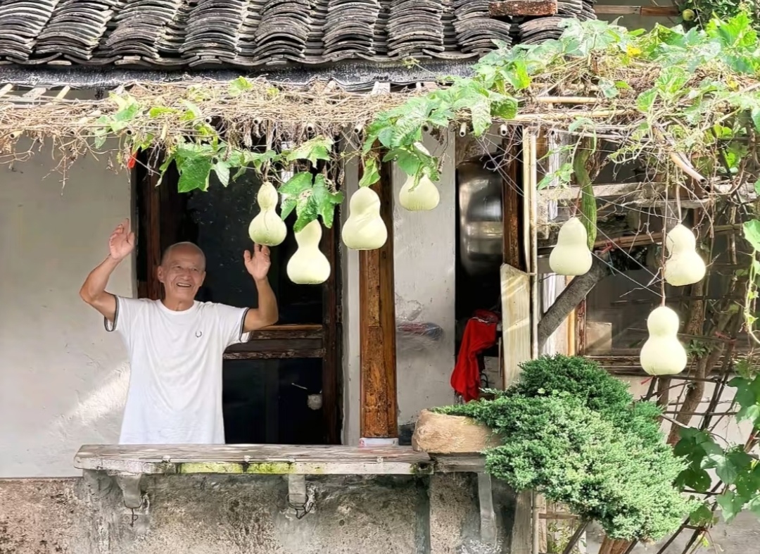 亲手毁掉自己养的葫芦，爆红之后，老爷爷到底经历了什么？