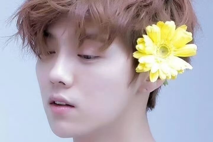恐高症成护身符？鹿晗推掉花少2，转头加盟跑男，人生选择太耐人寻味