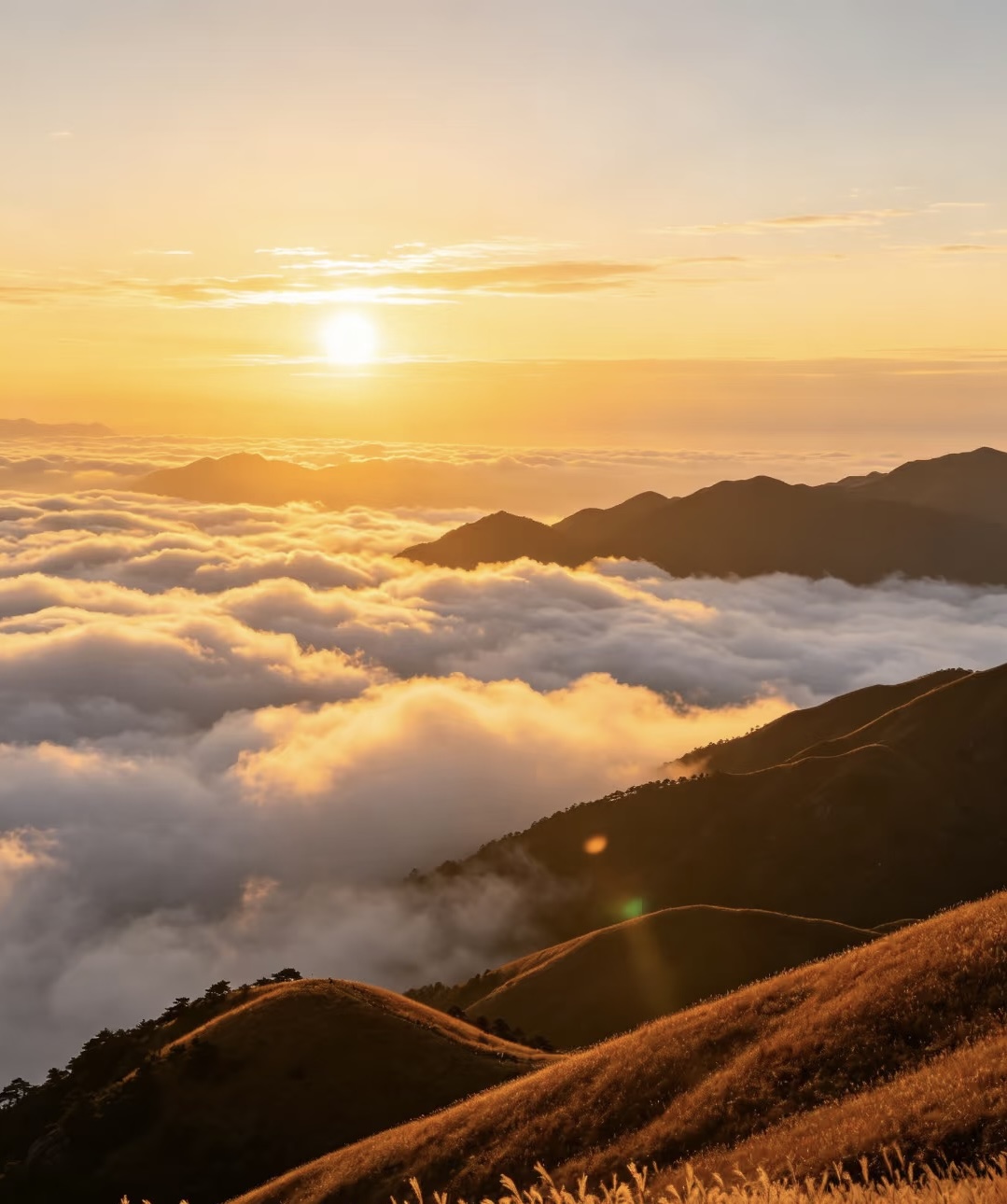 山不见我，我自去见山，坠入武功山人间秋日幻境