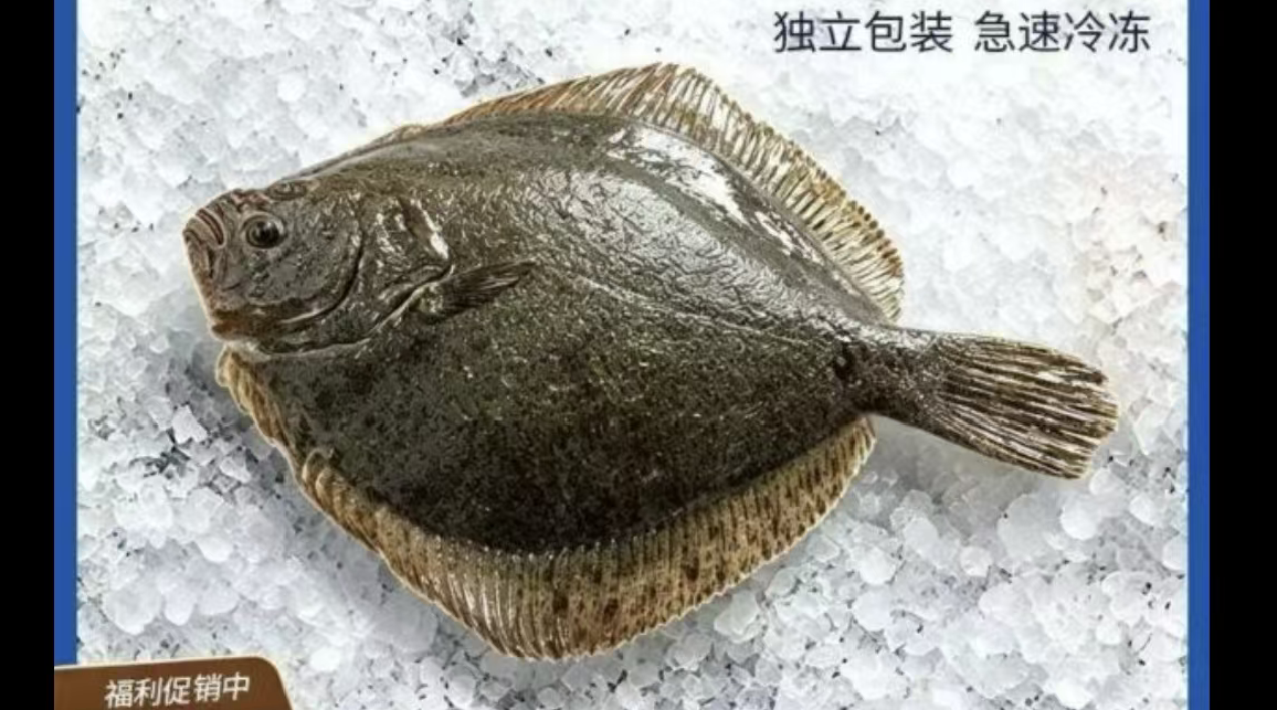 3块5一条的多宝鱼还包邮，罗永浩直播间卖的到底是什么鱼？