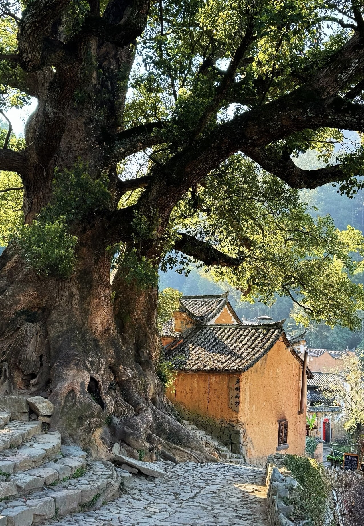央视点名 4 座隐世古村！打卡过半，读懂藏在烟火里的东方古韵