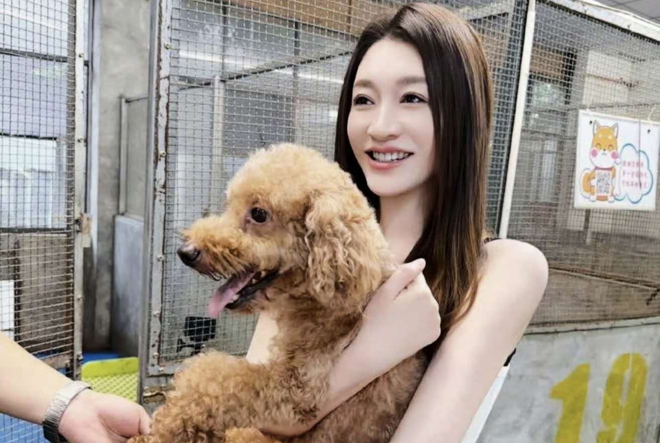 可爱出圈！李小冉不懂网络热词闹乌龙，误把10k当十万尽显真实质朴